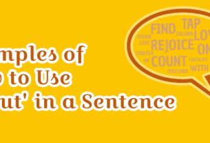 About in a Sentence