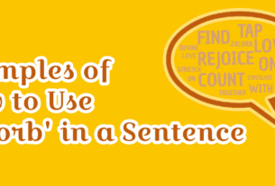 use absorb in sentence