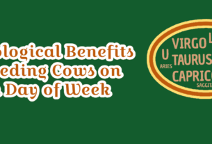 Astrological Benefits of Feeding Cows on Each Day of Week