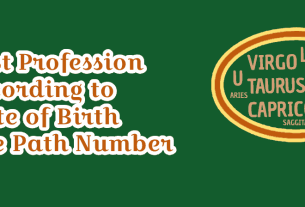 Best Profession According to Date of Birth Life Path Number