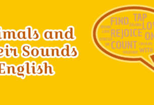 Animals and Their Sounds in English